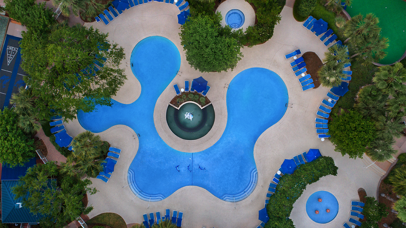 Dolphin Pool - Aerial View
